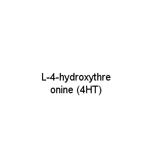 L-4-hydroxythreonine (4HT)